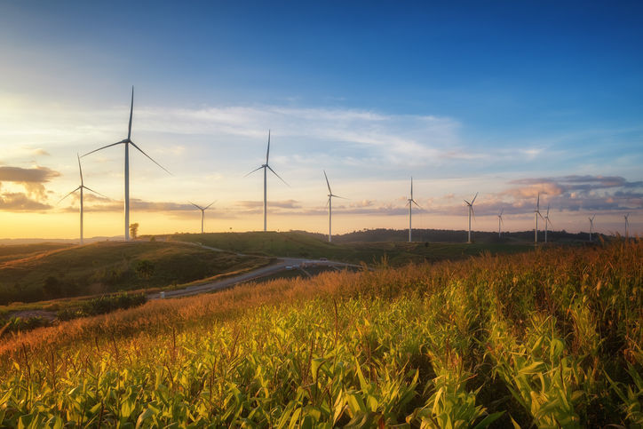 Wind farm windmills